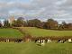 church fields 063.JPG